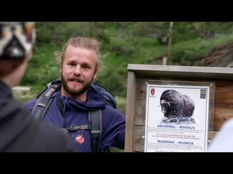 Moskussafari