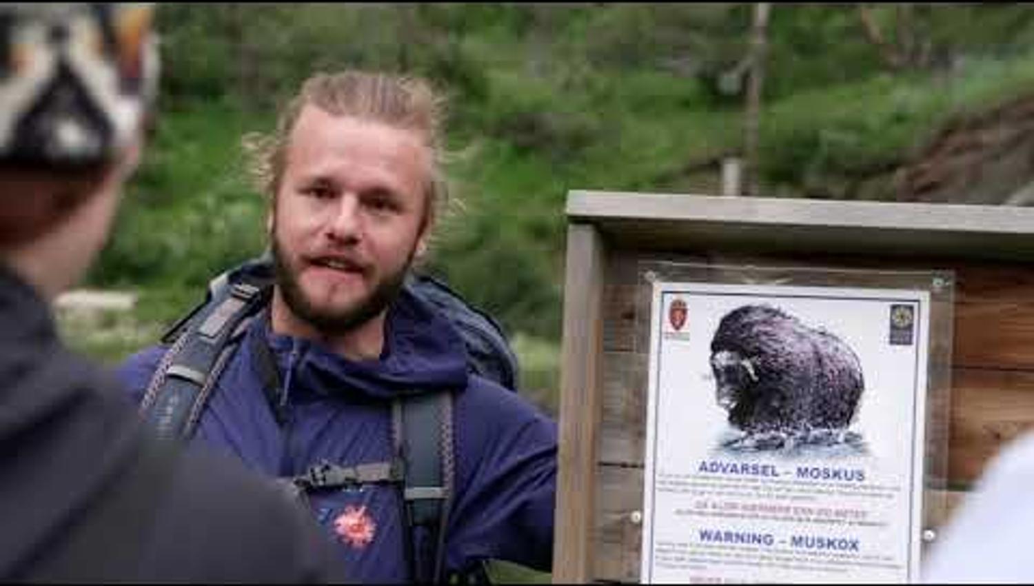 Moskussafari