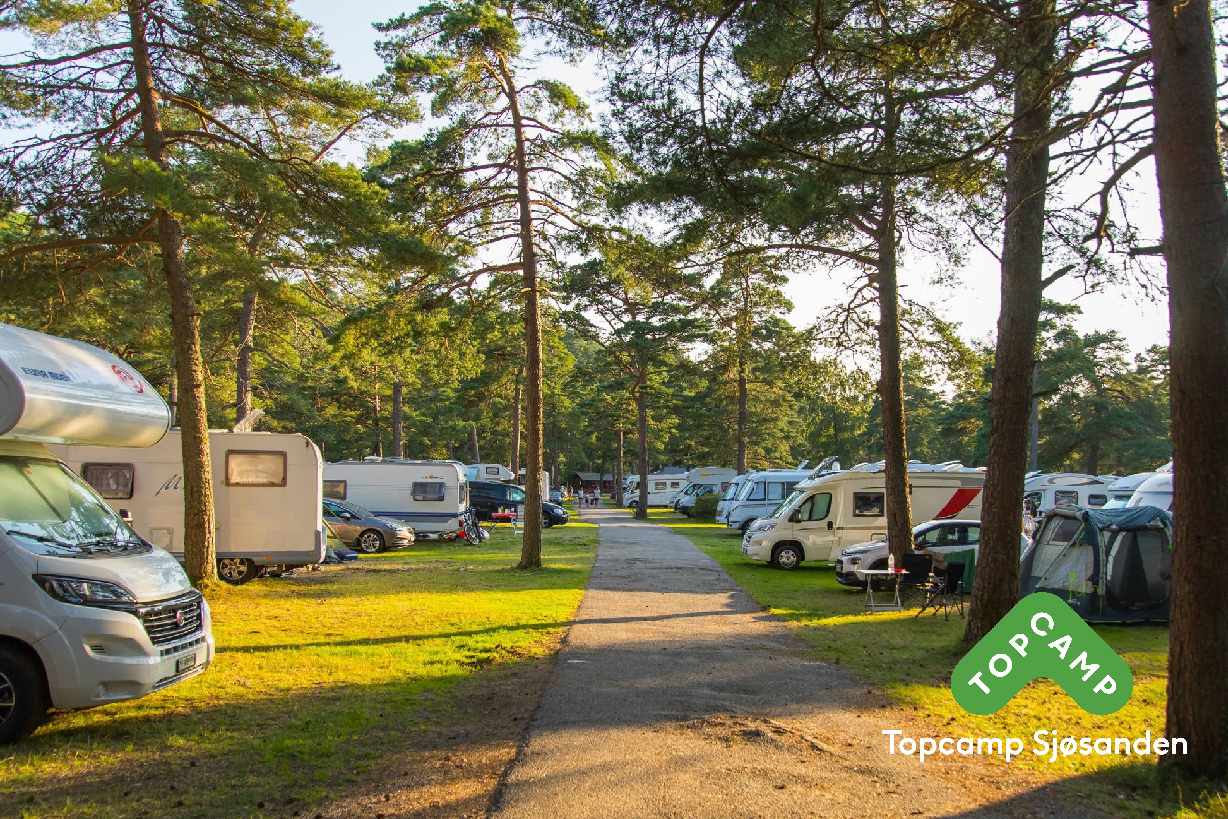 Campingplasser blant trærne, og en sti midt i