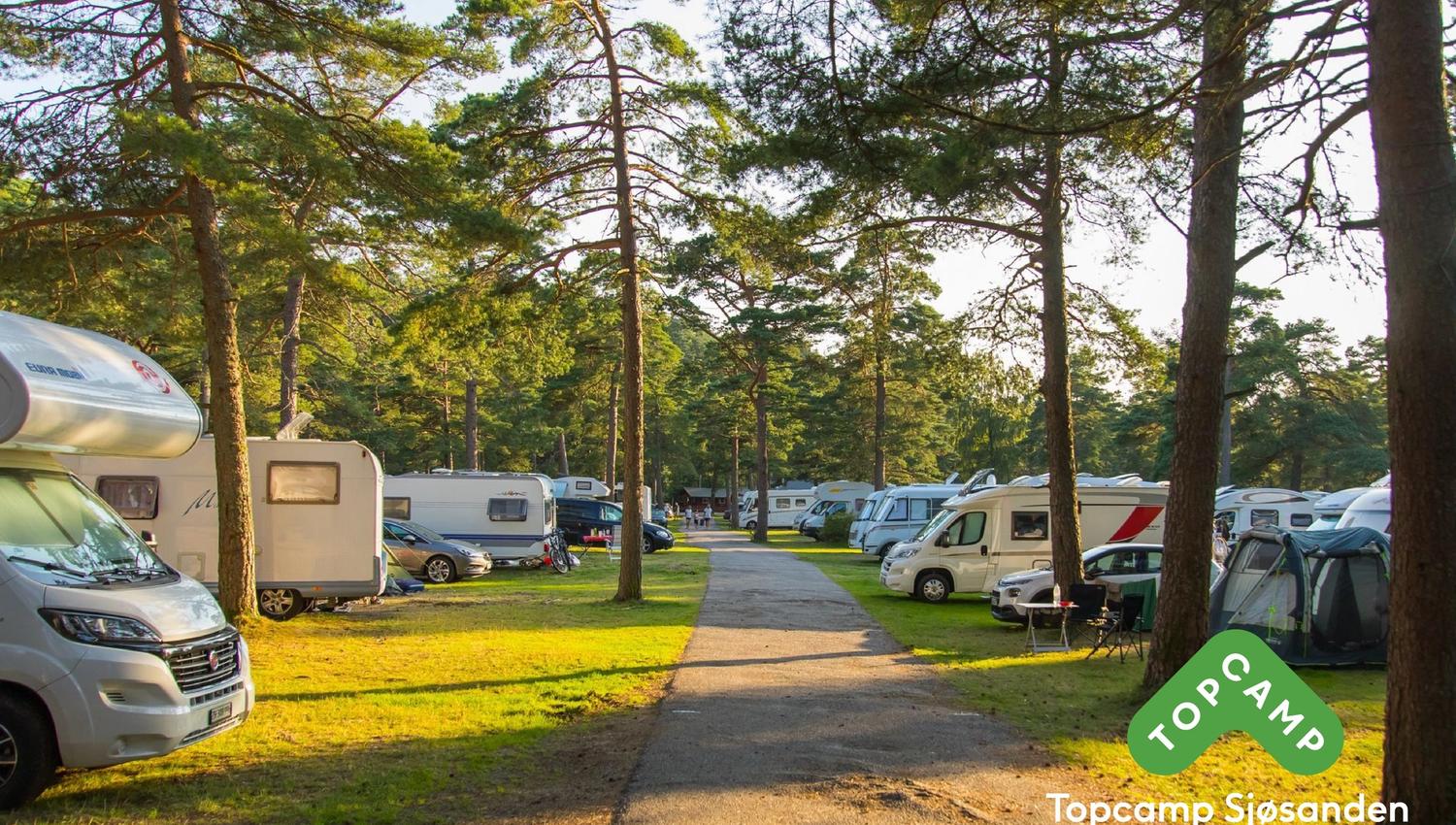 Campingplasser blant trærne, og en sti midt i