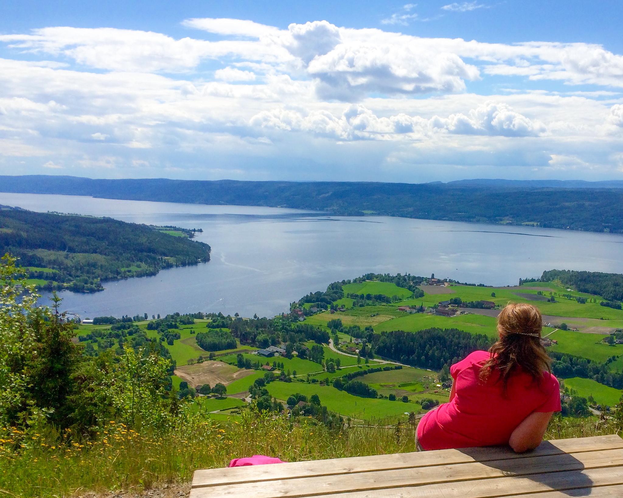 Topptur til Brandbukampen