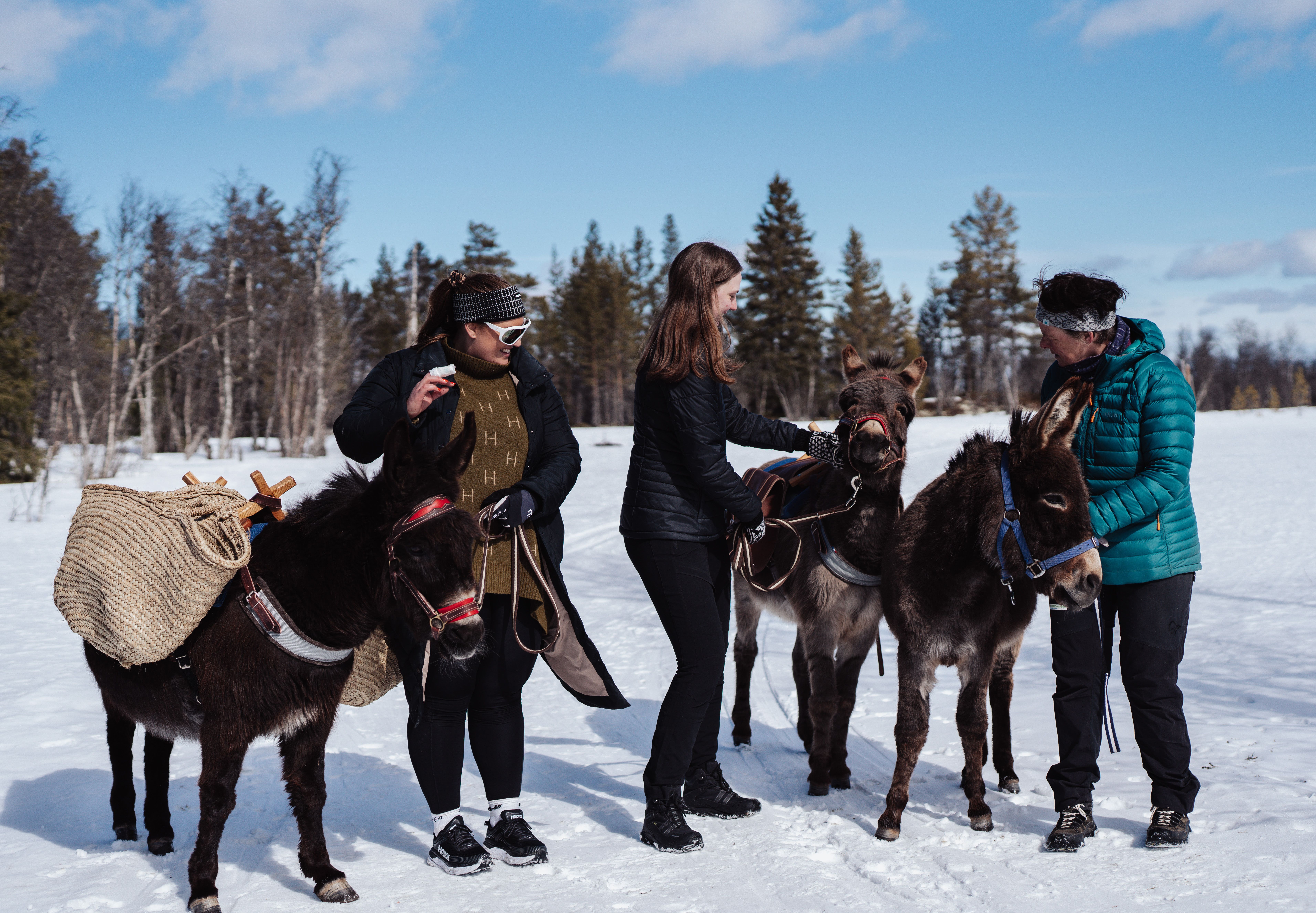 Fotograf Stian van der Meeren 50