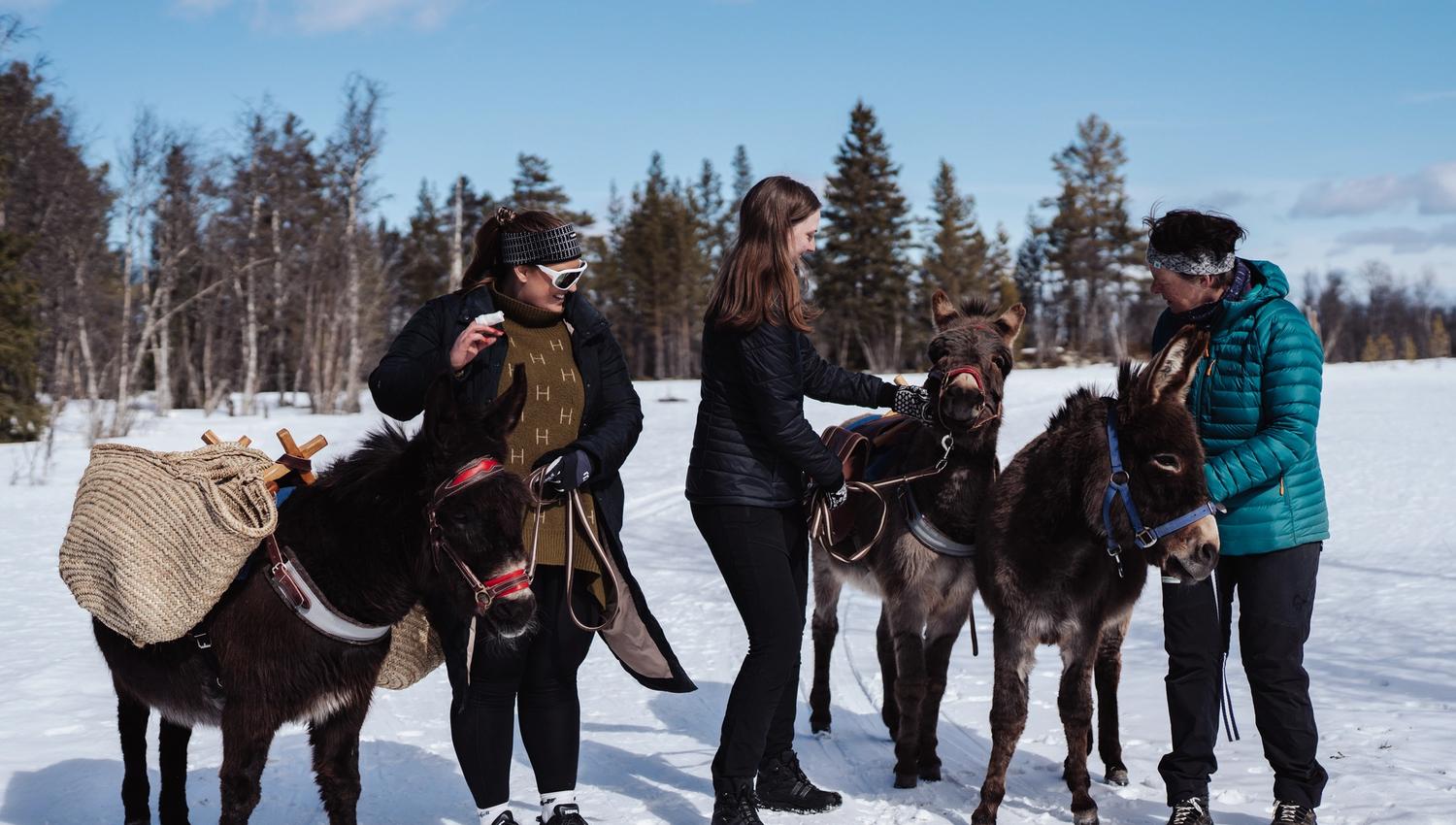 Fotograf Stian van der Meeren 50