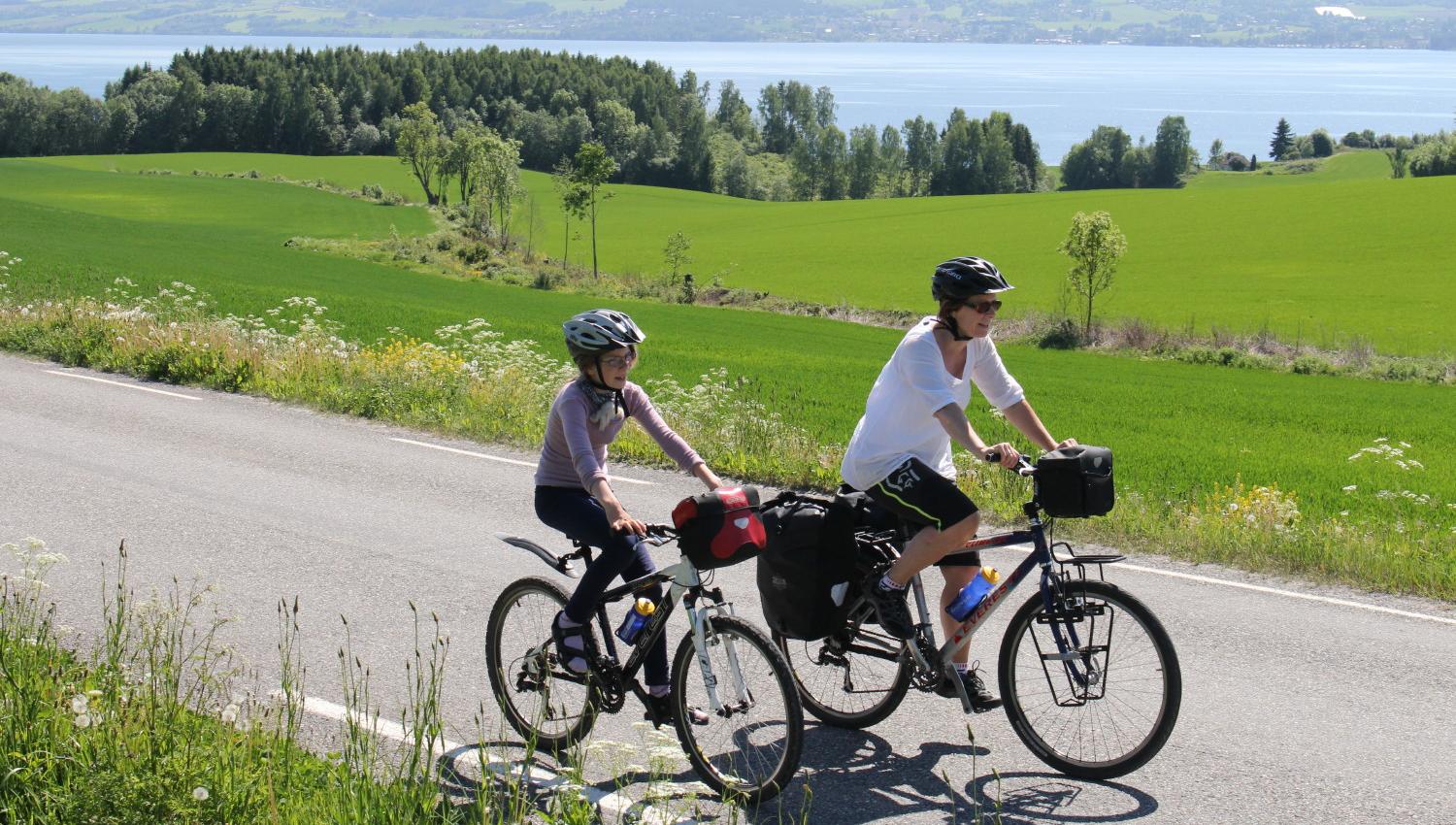 Sykling på Nes