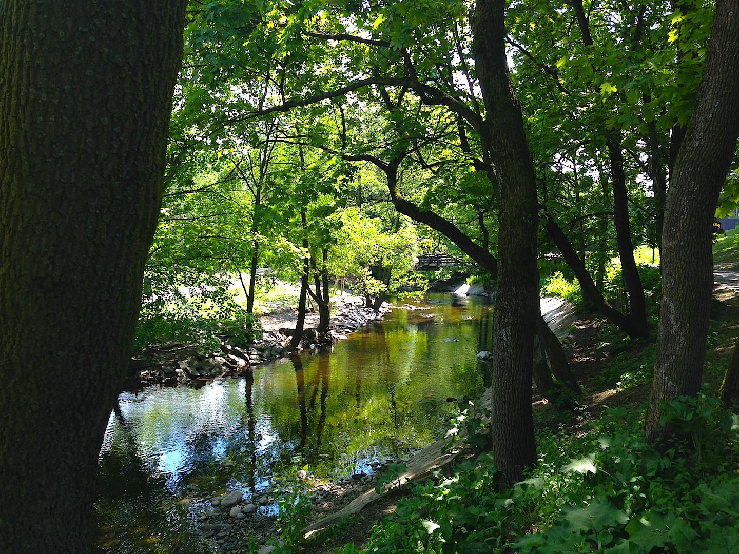 The river.
