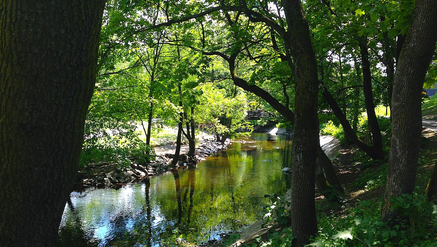 The river.
