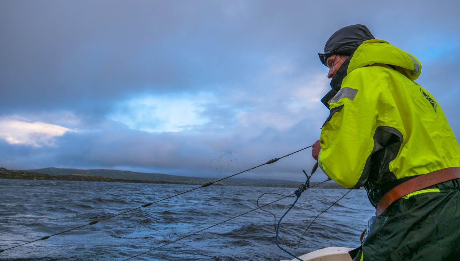 A man hauls in fishing nets from a boat on Hardangervidda.