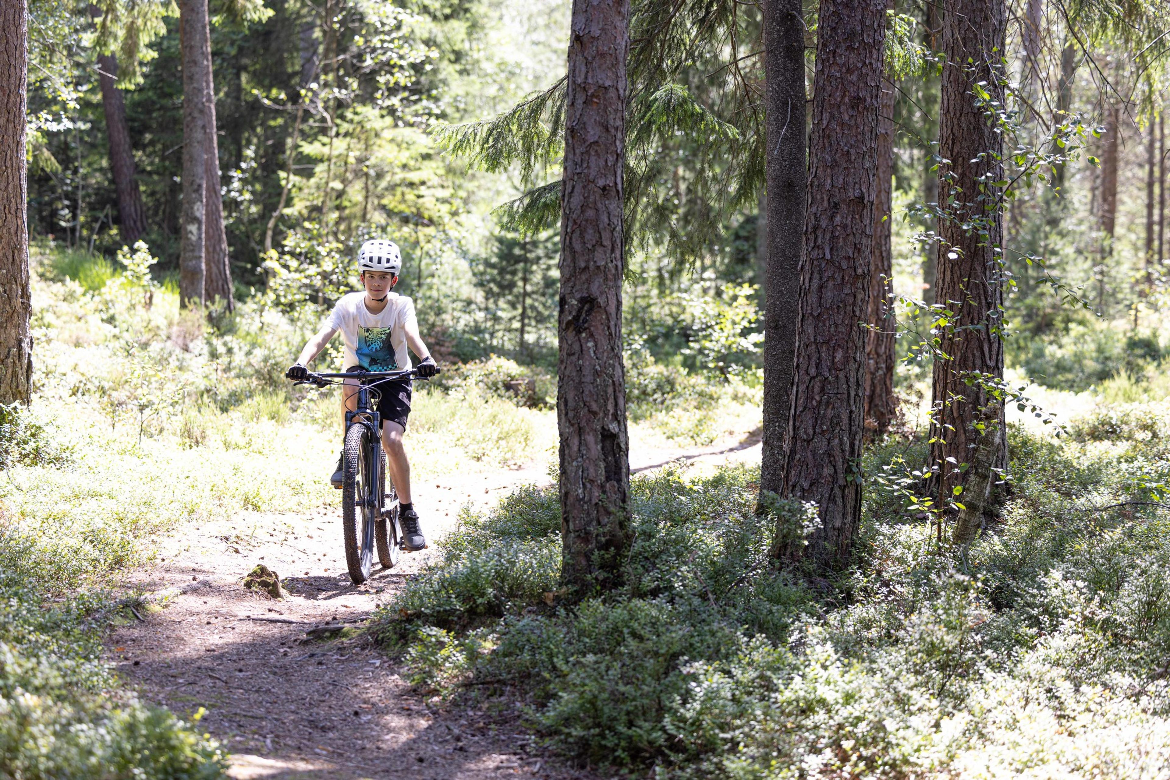 Sykkel i skogen