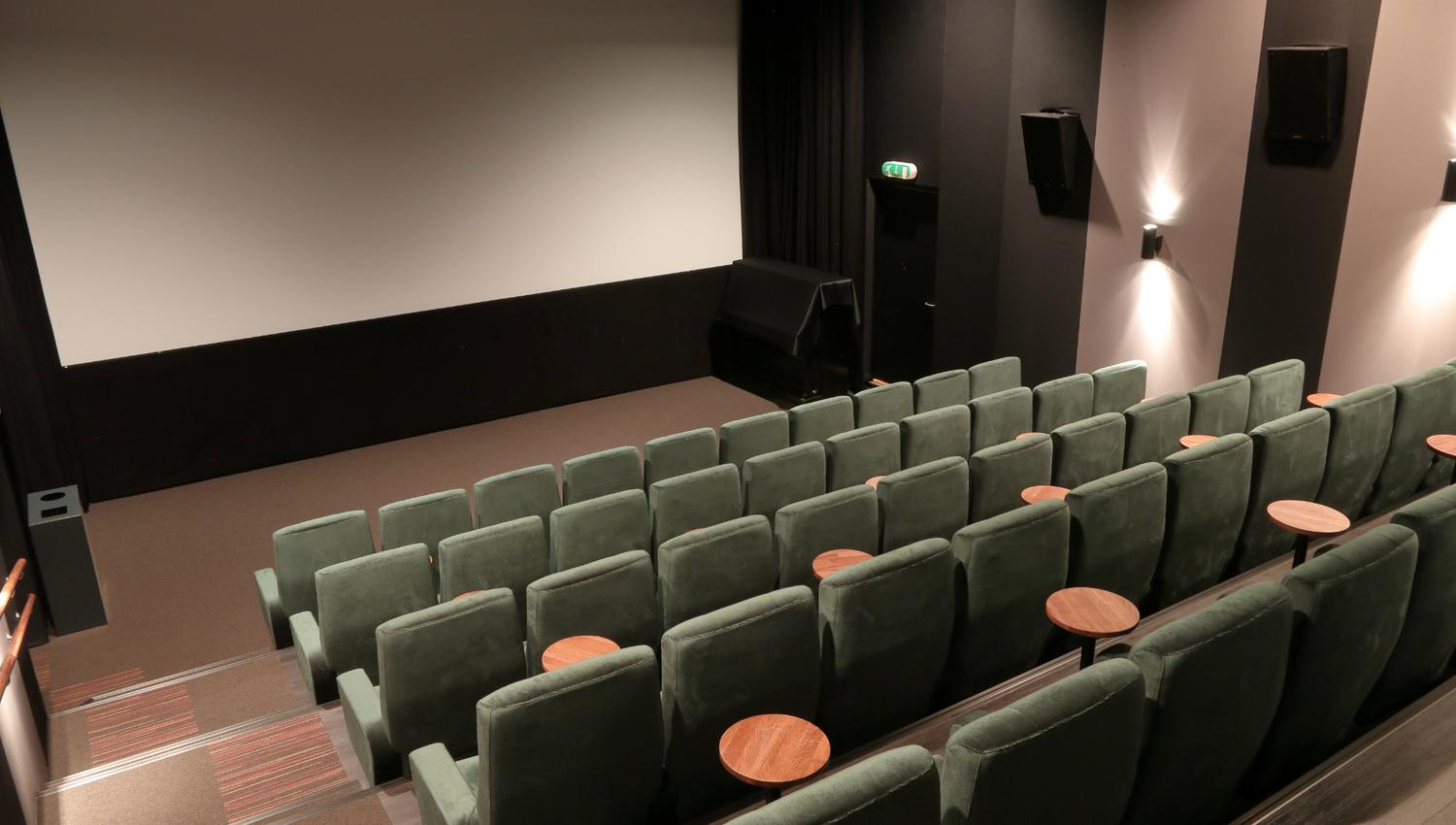 USF-5-cinema