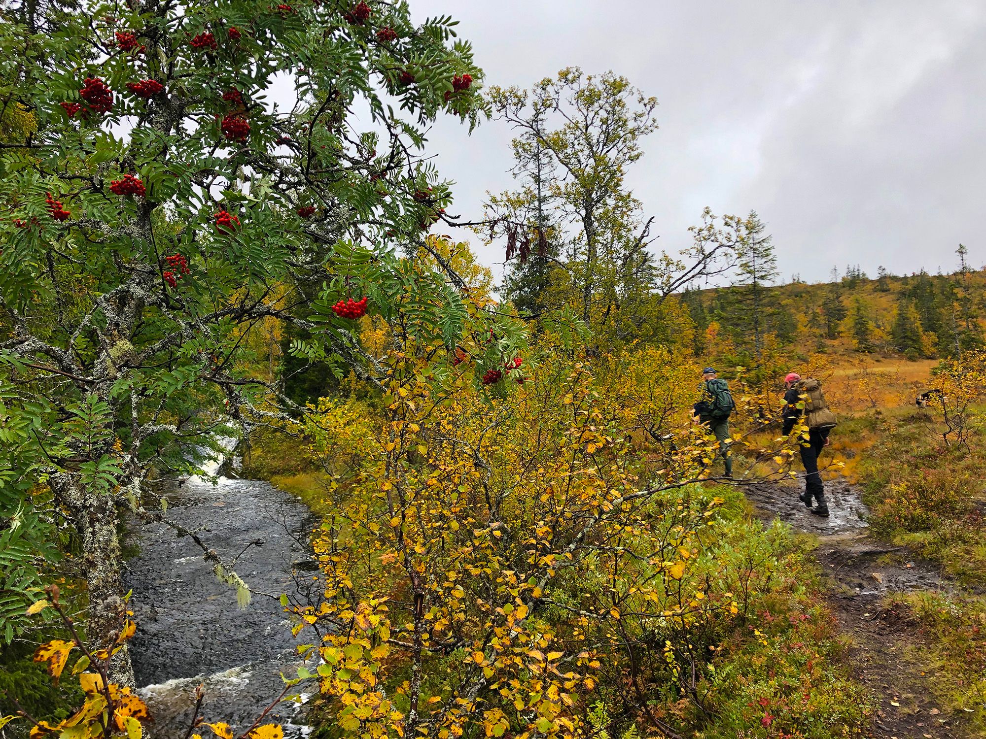 Snåsa Plukktjønnfjellet tur 2021 Foto Linn Marita Larsson (2)