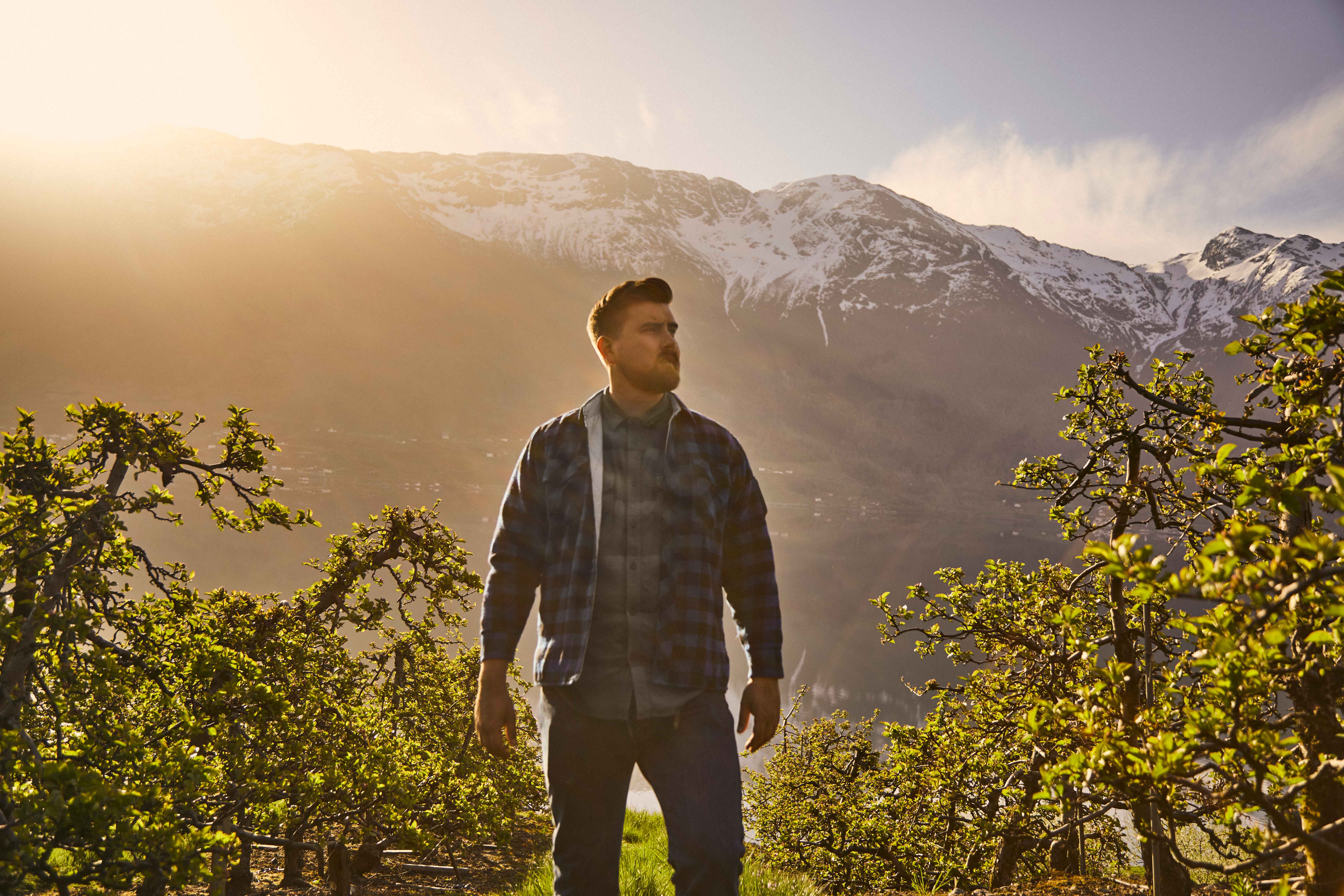 Mann går gjennom en blomstrende eplehage i Hardanger på våren.