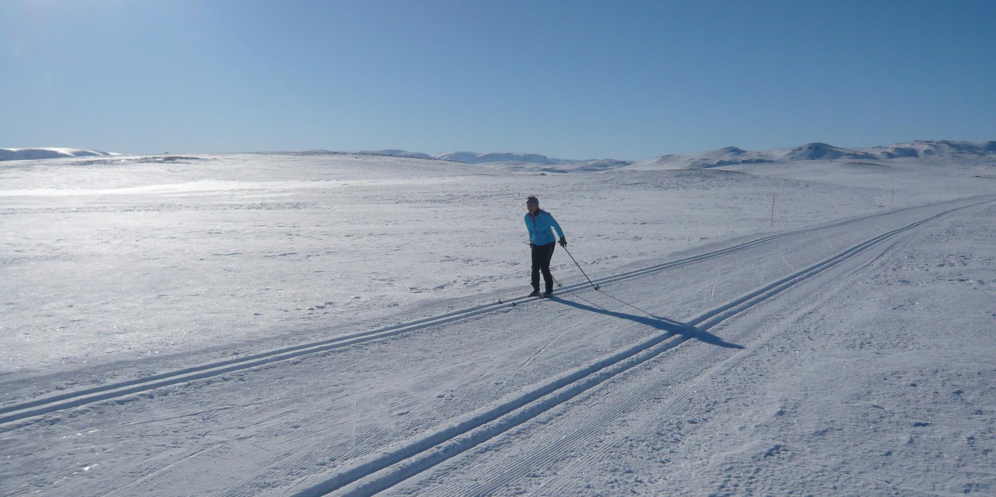 Langrenn-Ål-Vinter