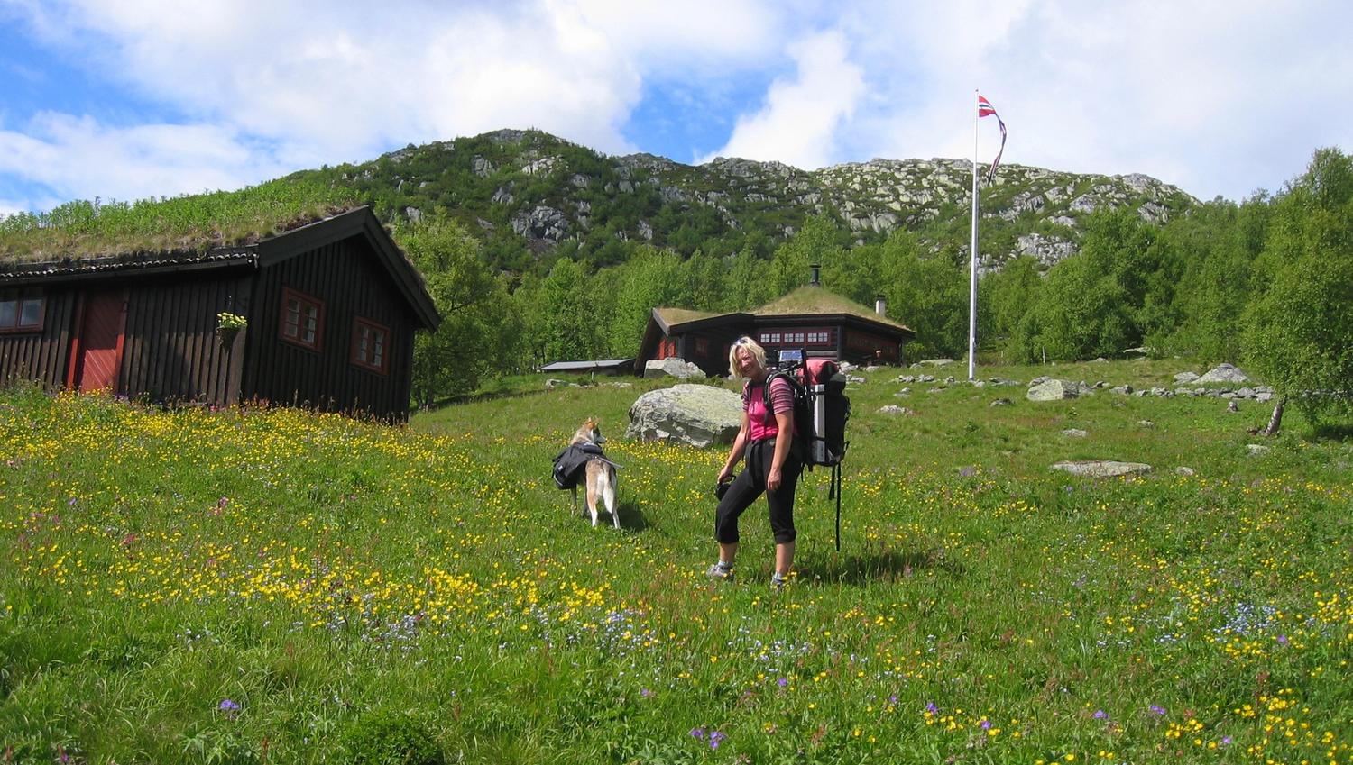 Tone på Hovdestaul