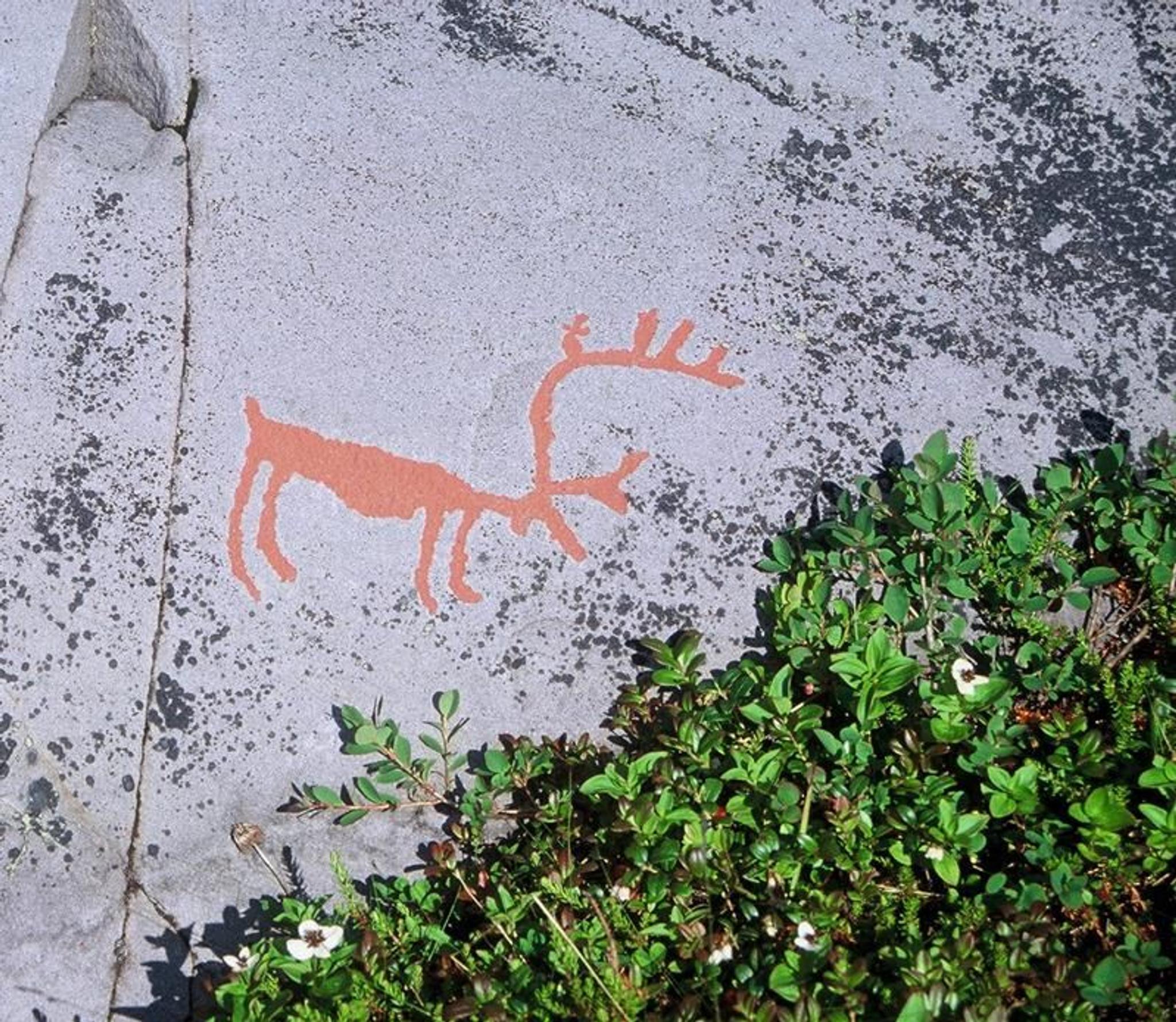 Verdensarvsenter for bergkunst - Alta Museum