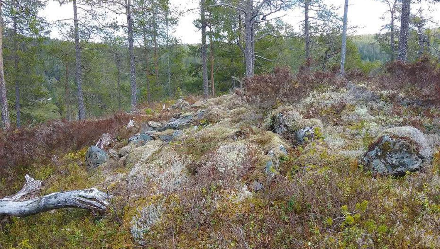 Parti av ytre murverk