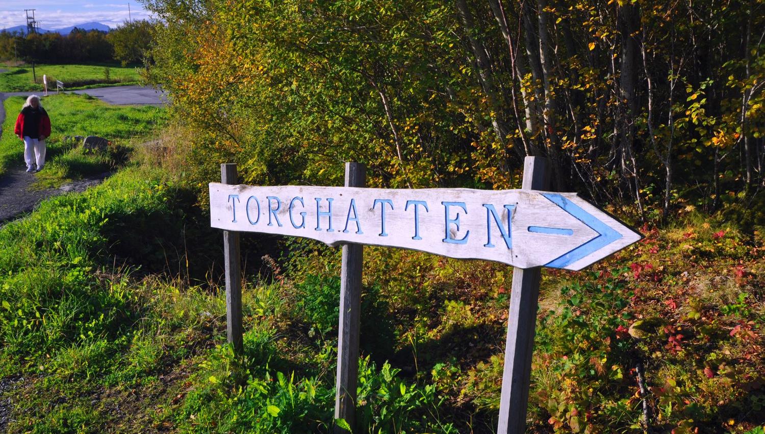 Turforslag: Torghatten opp
