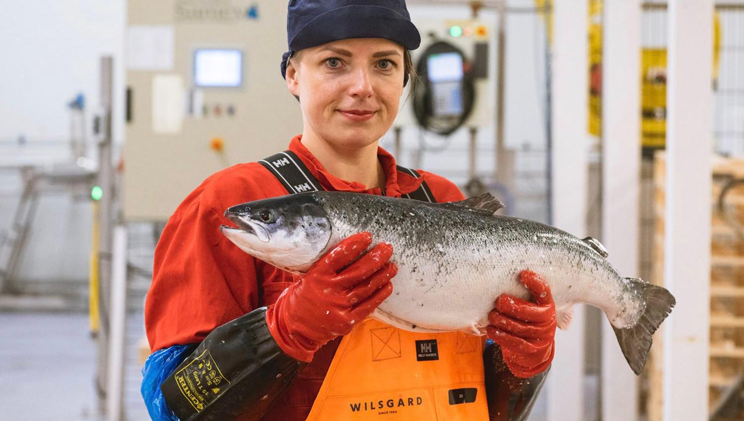 factory worker holding whole salmon fish