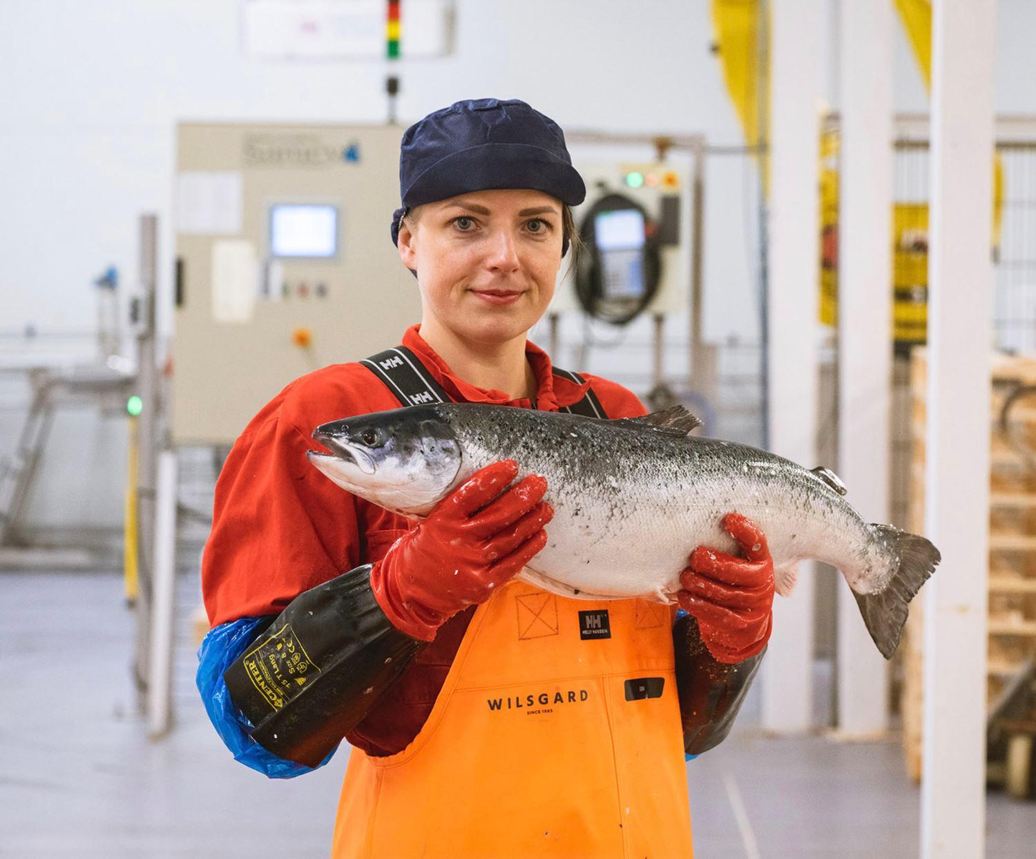 factory worker holding whole salmon fish