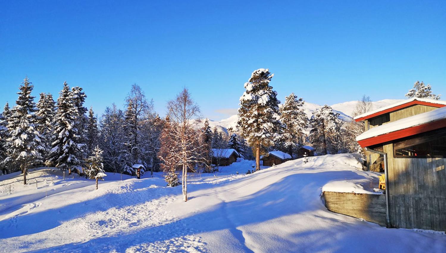 raulandsakademiet-vinter_web