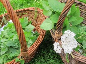 to kurver med blomster