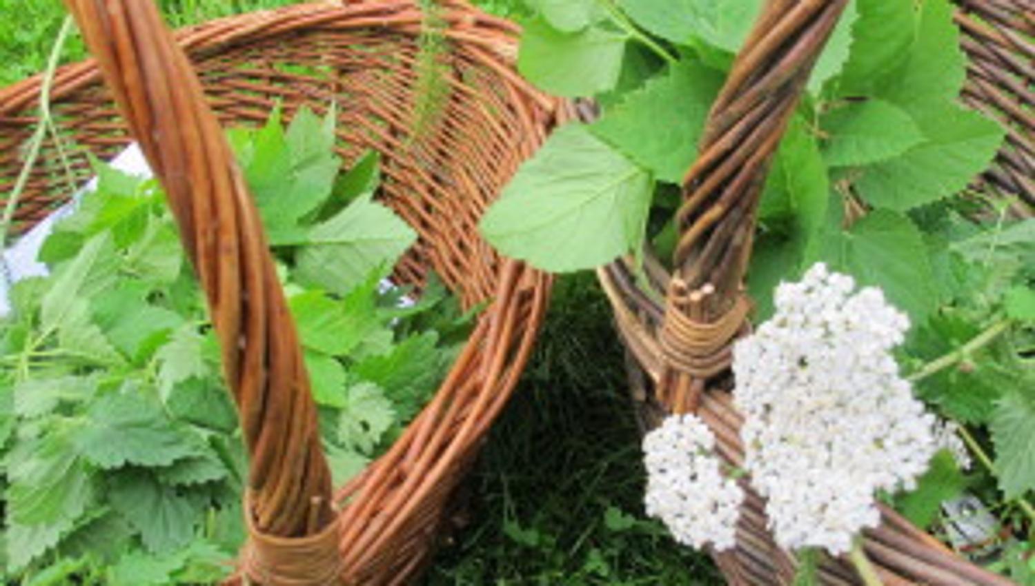 to kurver med blomster