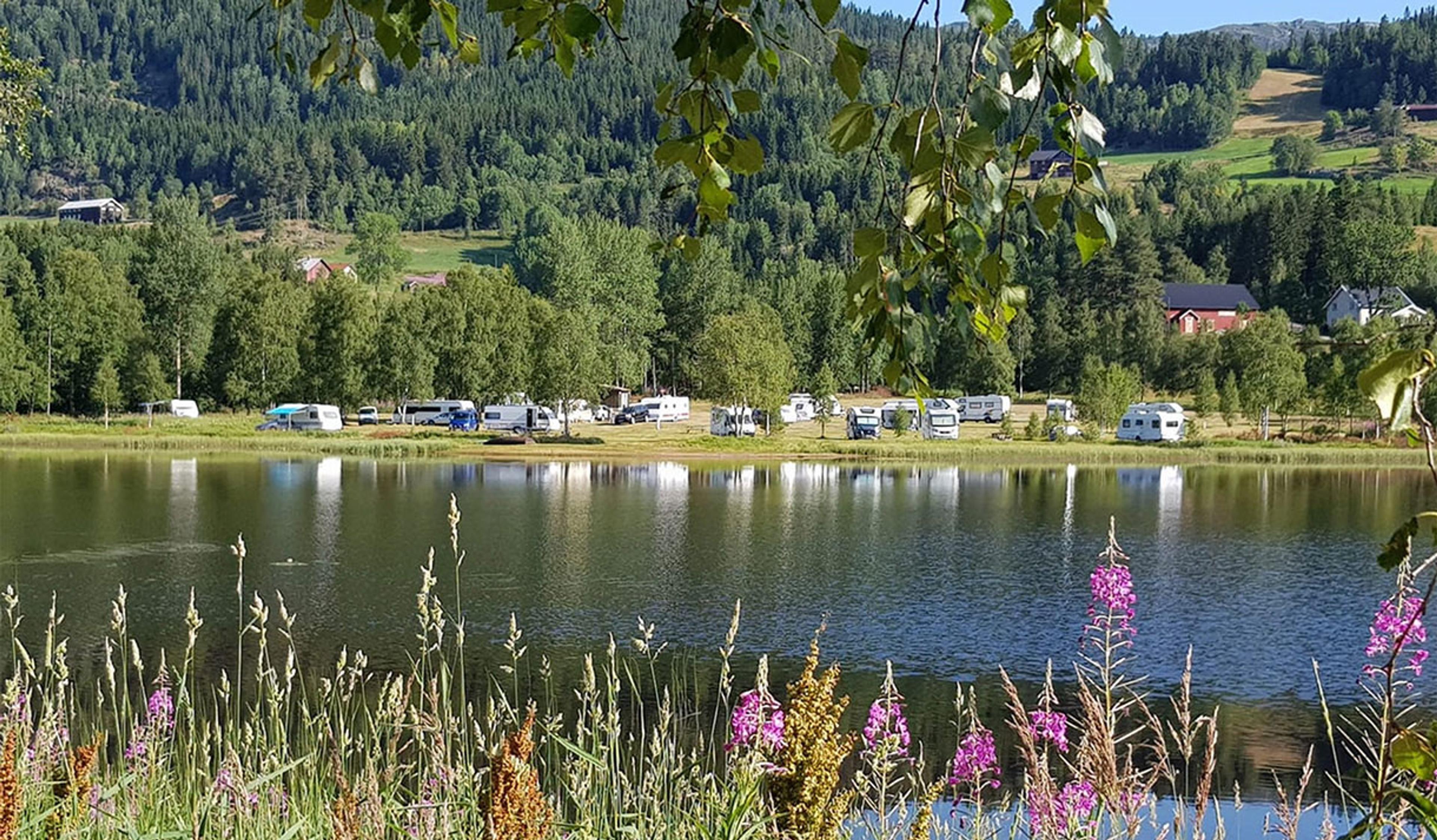 vakkert beliggende campingplass i Morgedal