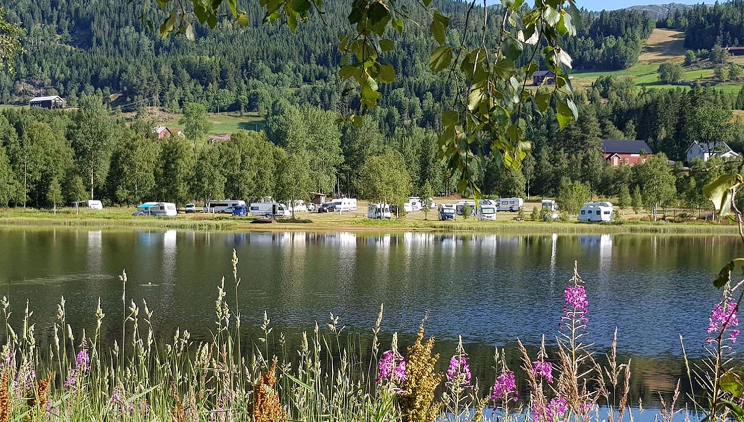 vakkert beliggende campingplass i Morgedal