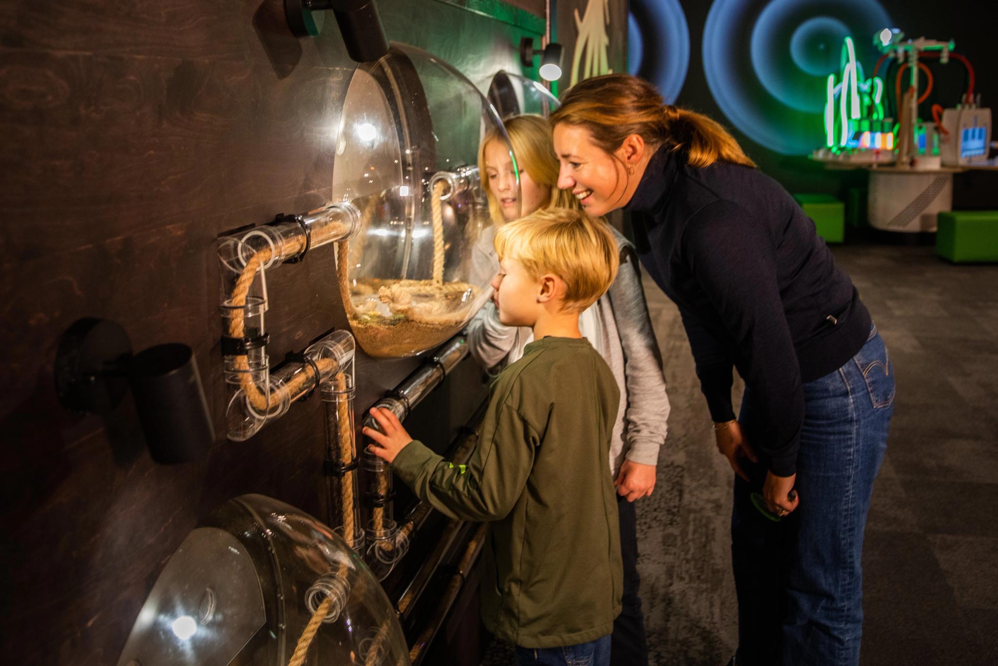 Lær om kretsløp i naturen på VilVite