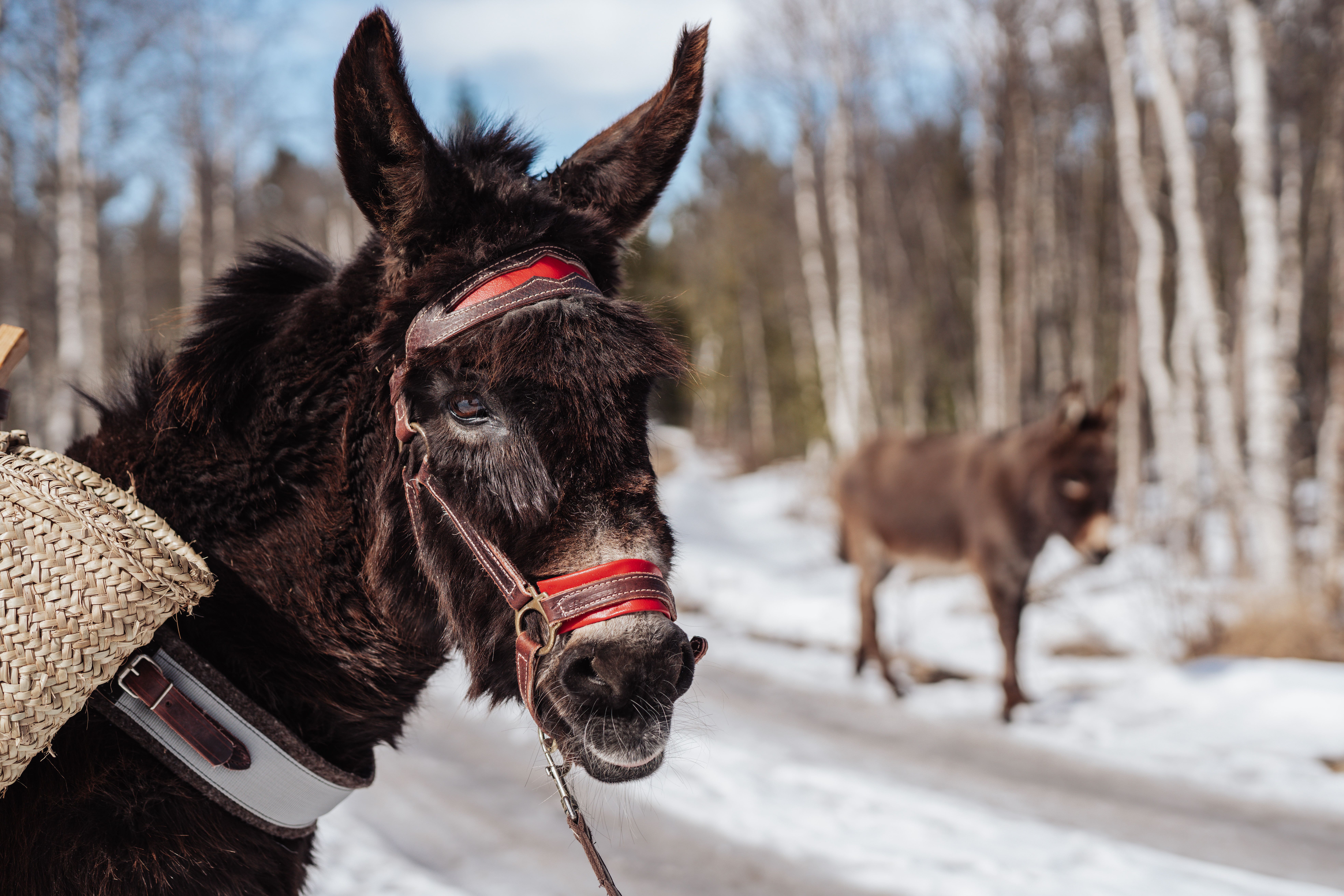 Fotograf Stian van der Meeren 46