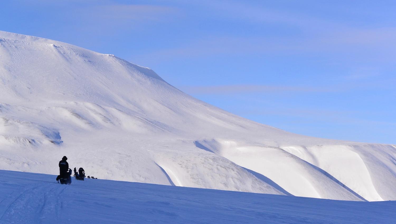 Dog sleds in the wilderness