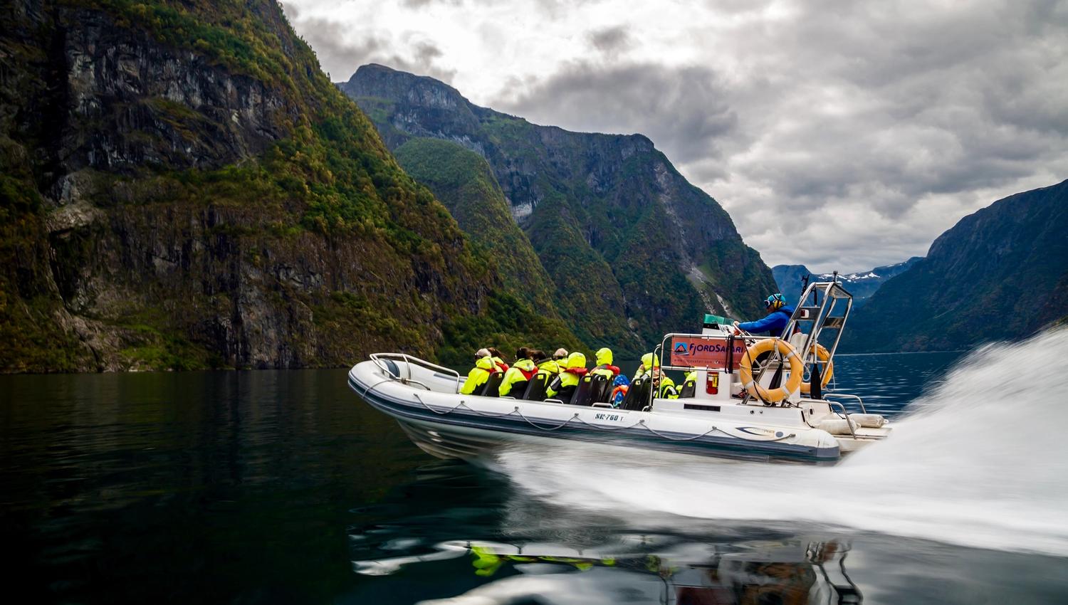 Fjord safari