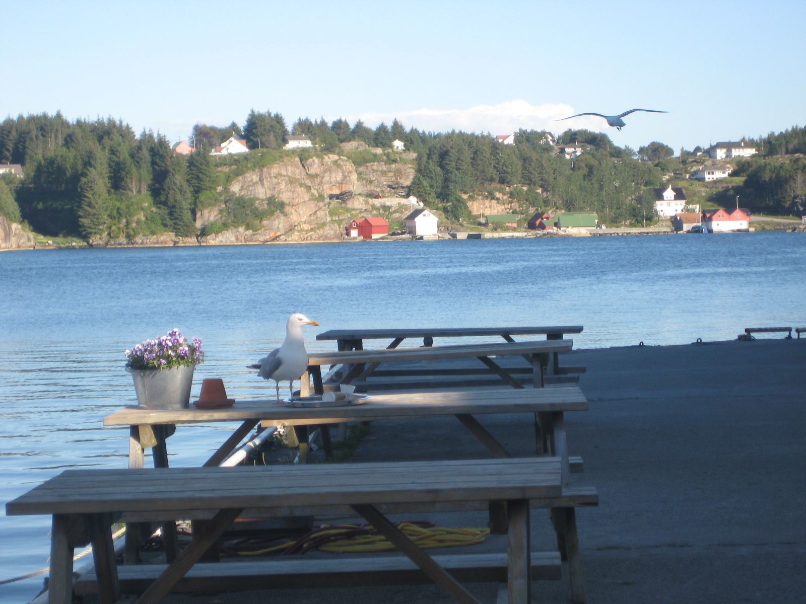 Glesvær Café and Catering