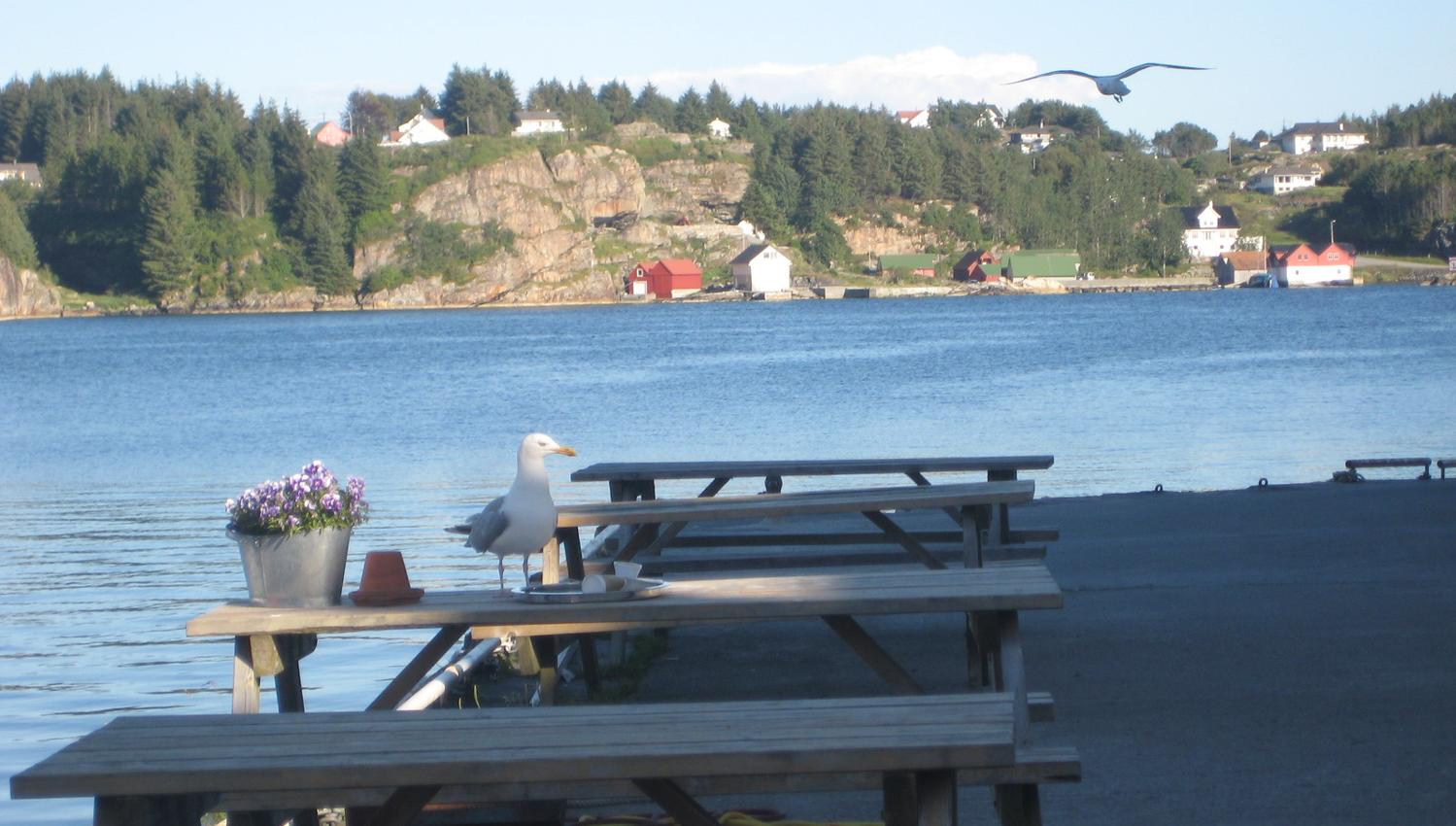 Glesvær Café and Catering