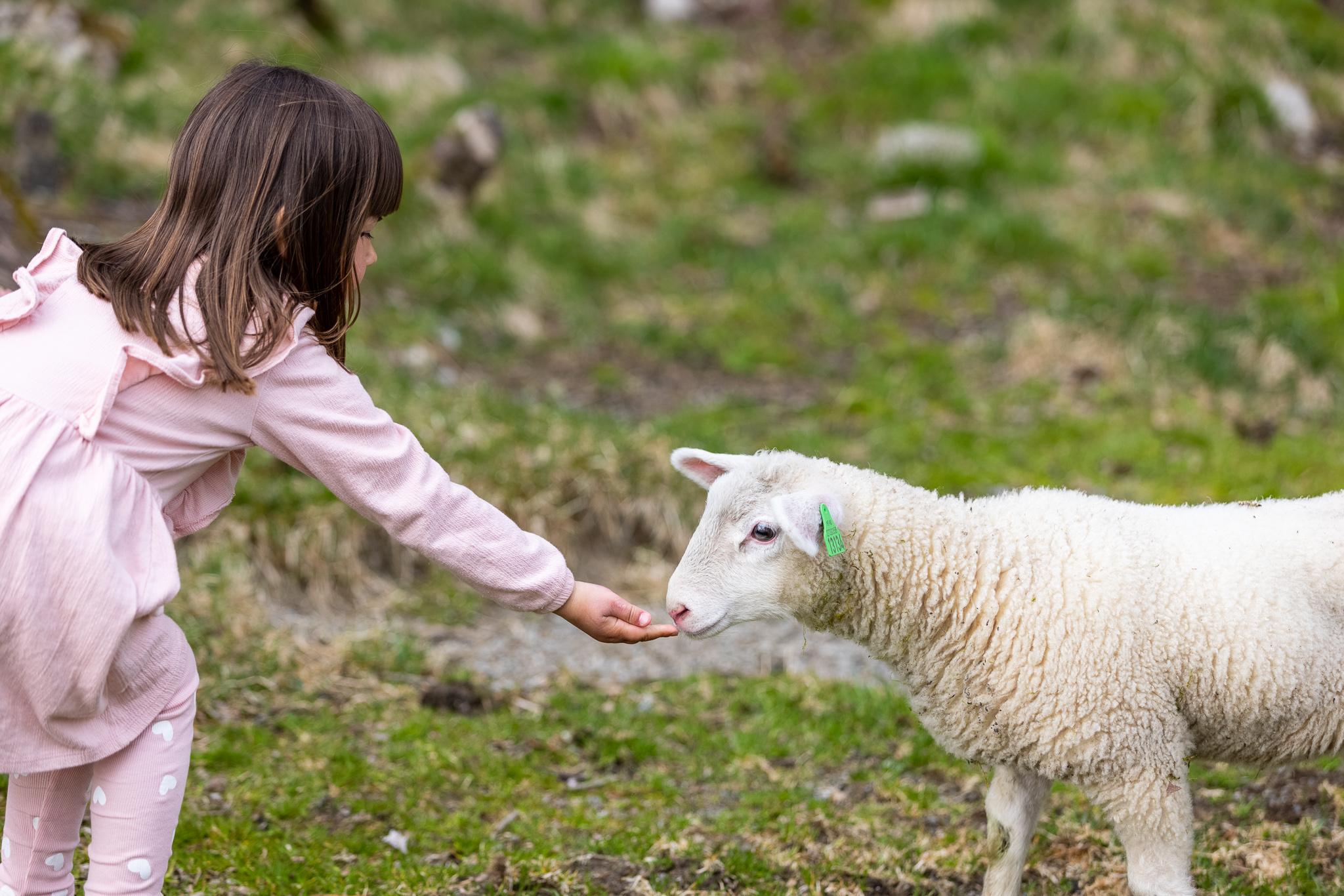 Fossane Gard i Hjelmeland