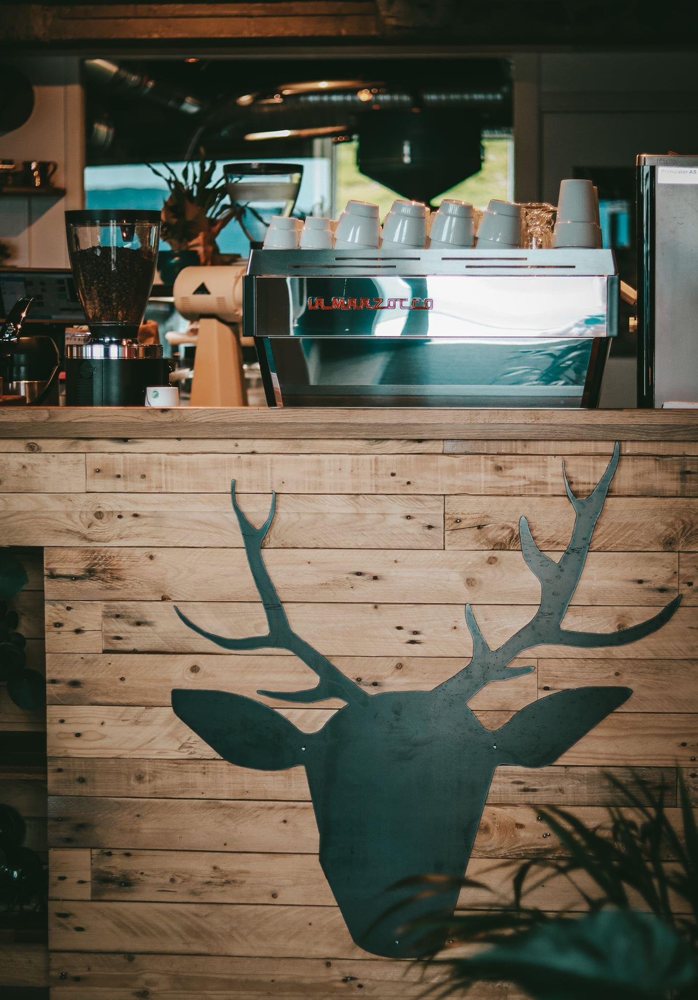 Senja Roasters Café