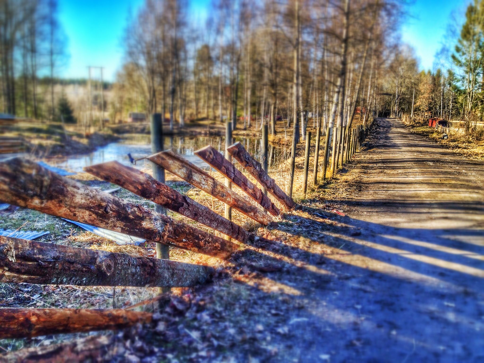 Gravel road with trees around