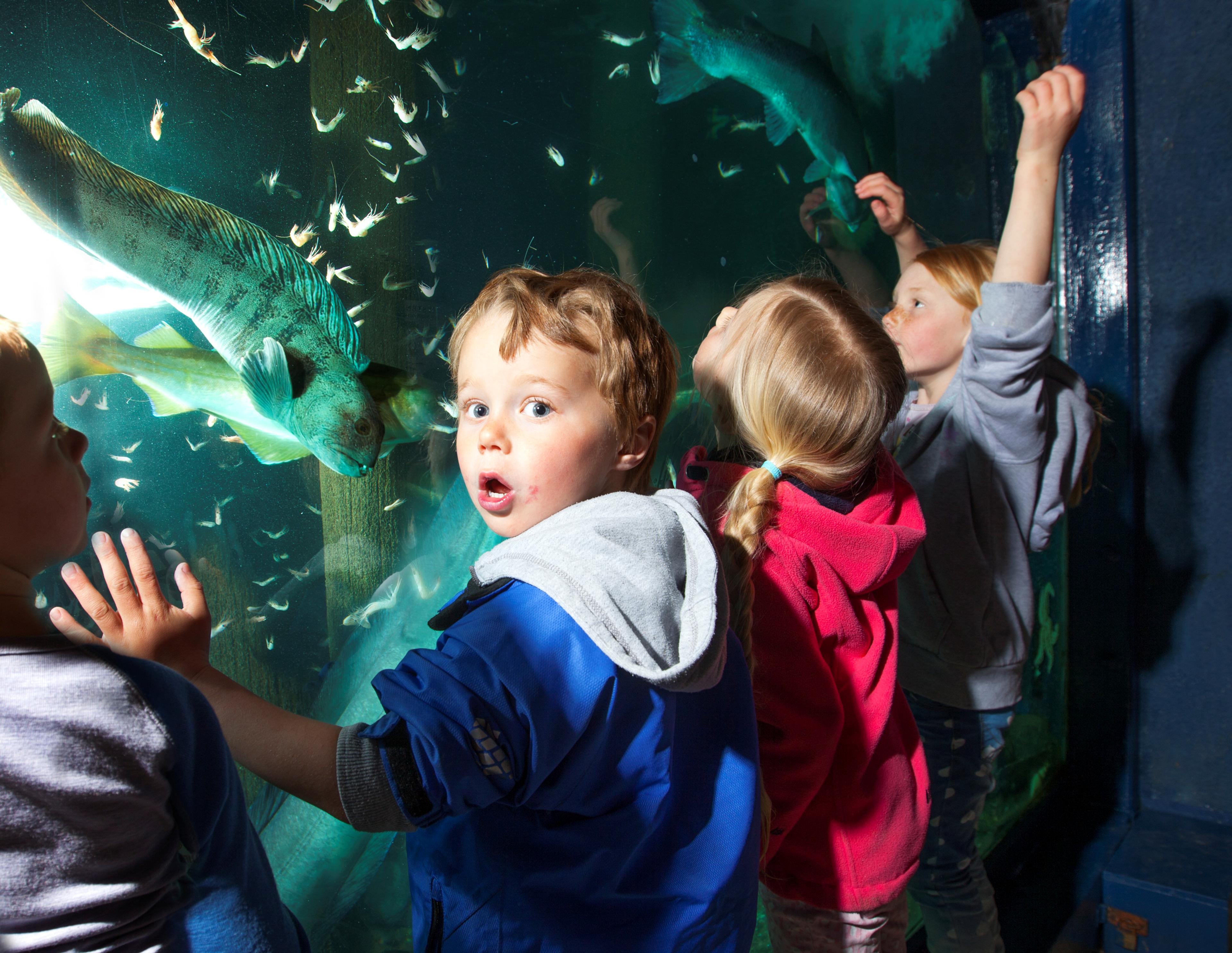 Risør Aquarium
