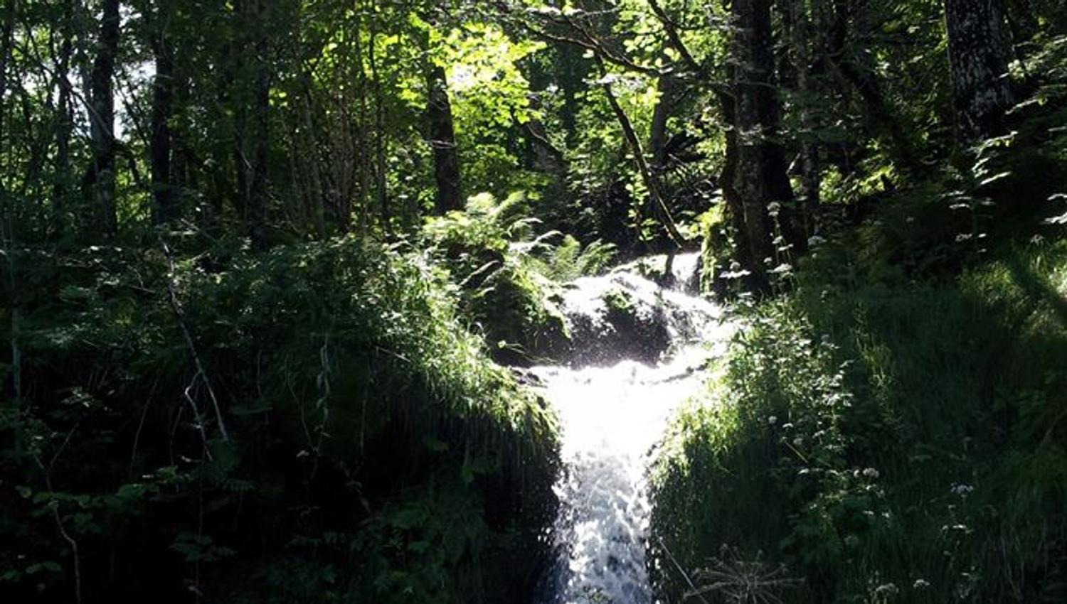 Utne