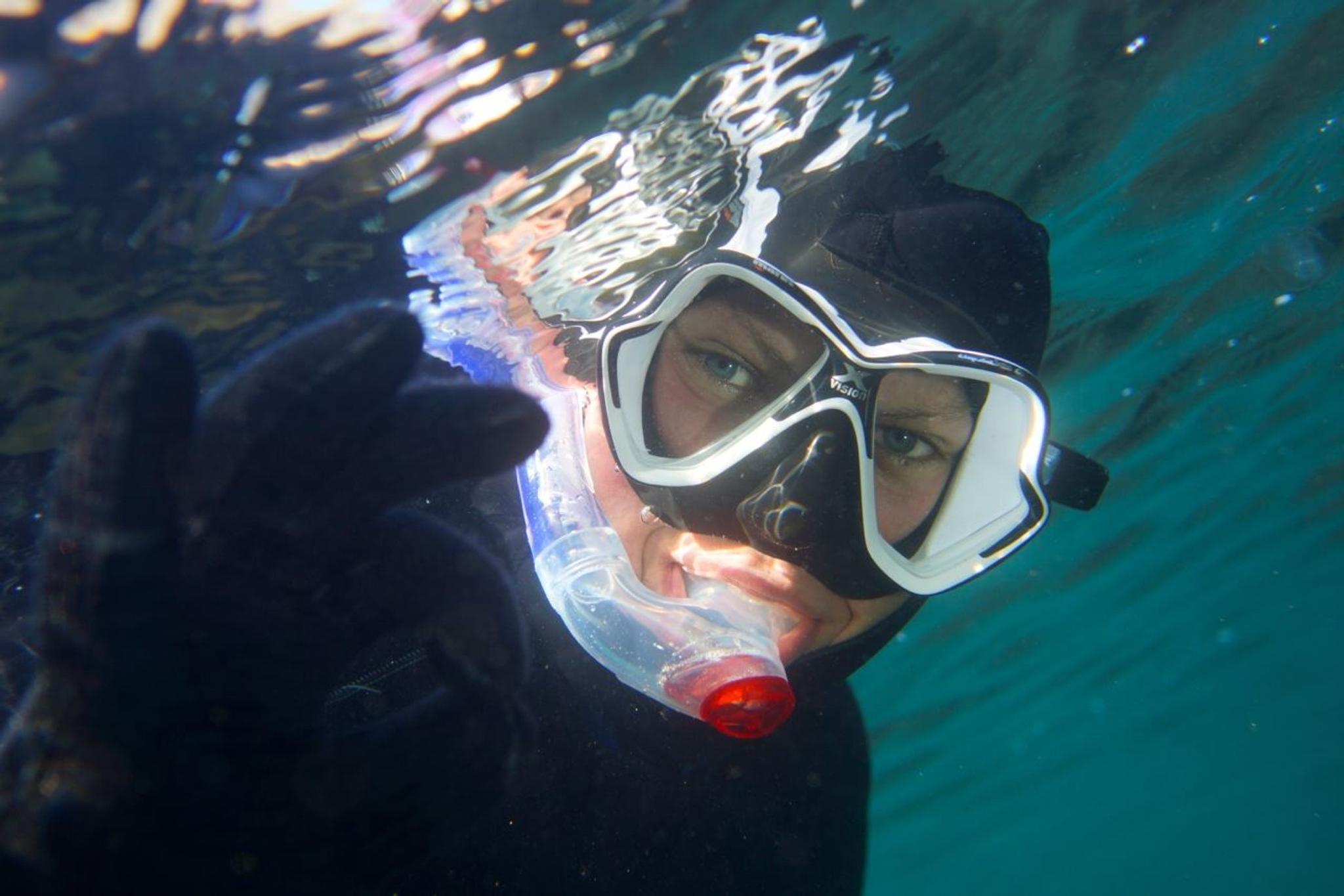Fridykking og Snorkling med PADI 5-stjerners Dykkesenter