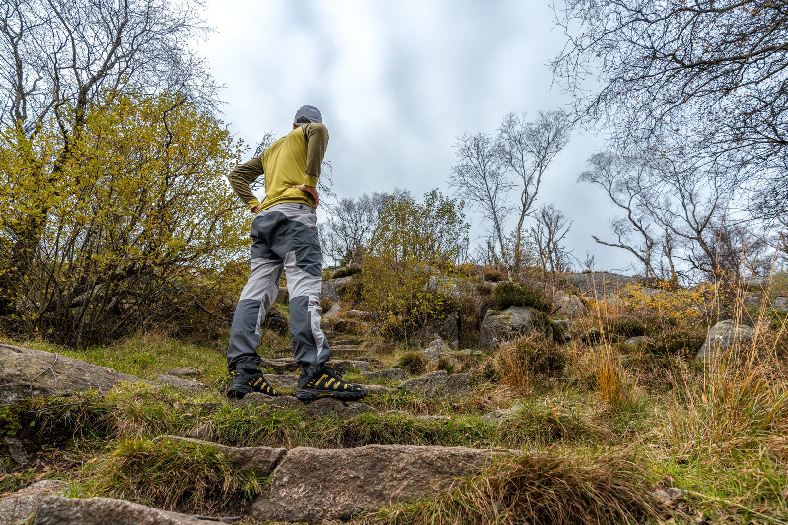 A gentle path up to Dalsnuten