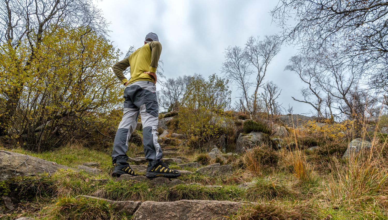 A gentle path up to Dalsnuten