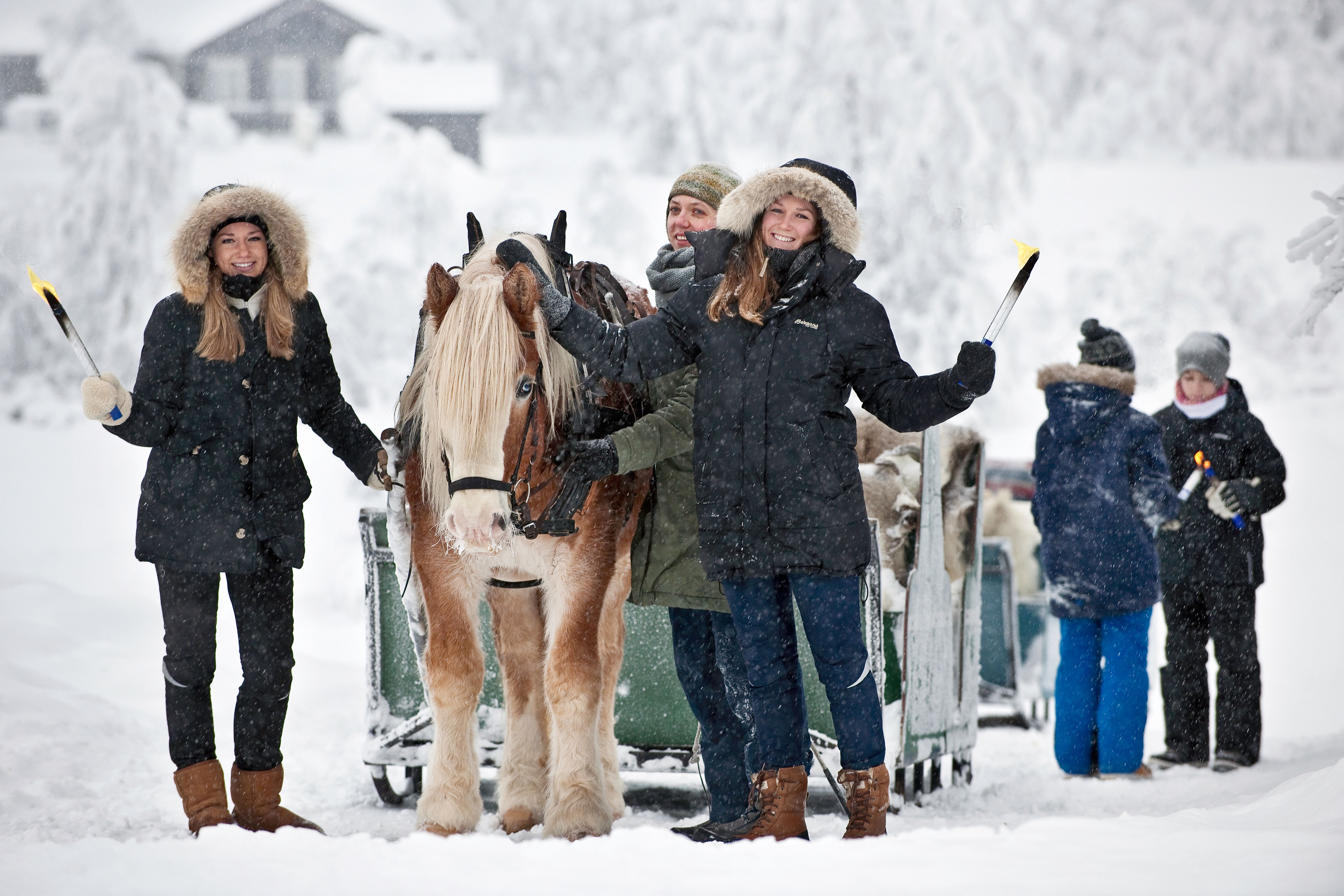 Sleigh Ride at Venabu Fjellhotell