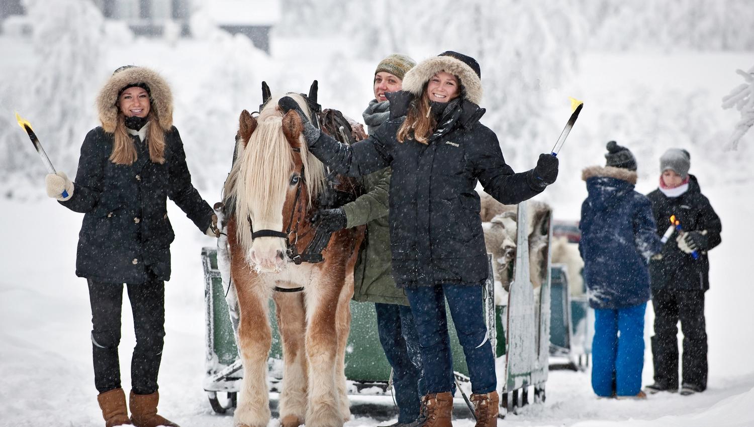 Sleigh Ride at Venabu Fjellhotell