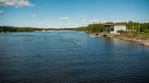 Kalvøya, strand, sandstrand, utegrill, badebrygge, sjø, gressplen, svømme, bade, barn, Kadettangen, kajakklubb, roklubb