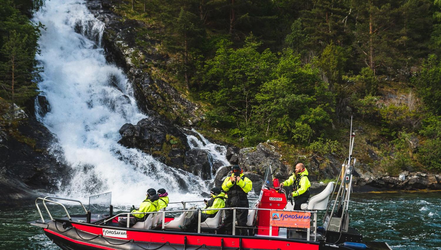 FjordSafari