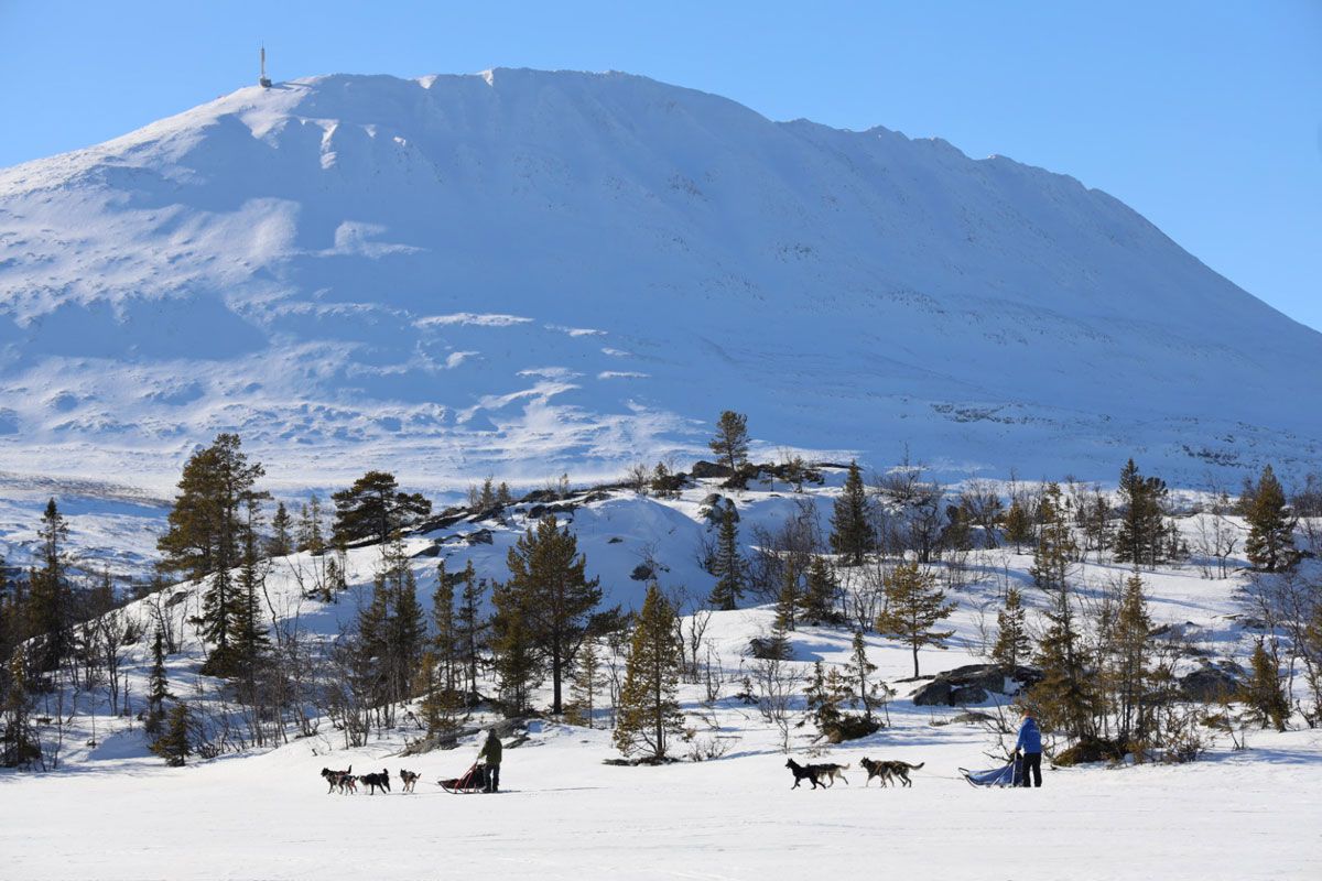hundekjøring ved Gaustatoppen