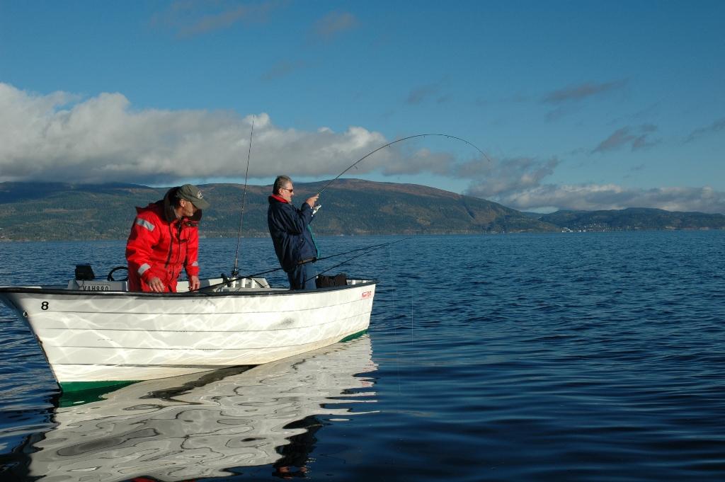 Fiske fra båt