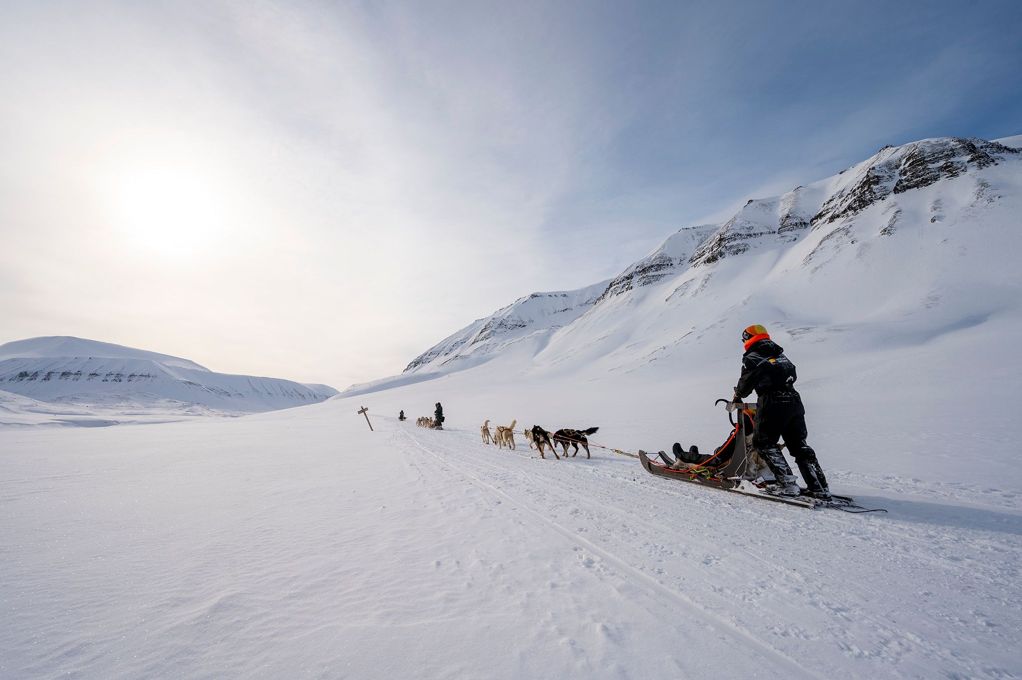 A person driving a dog sled into a snowy winter landscape.