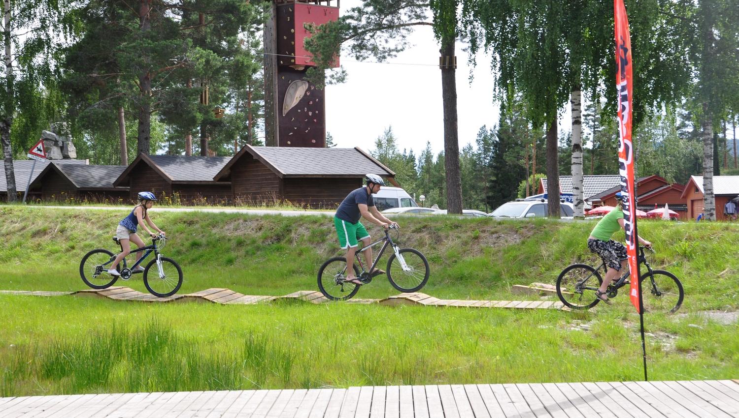 TrollAktiv bike bumps
