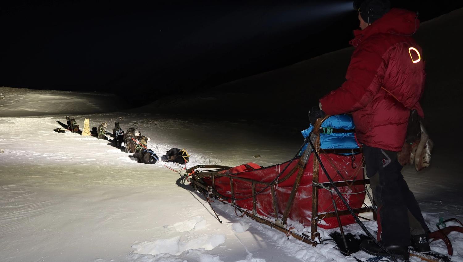 En person som kjører hundeslede i mørket